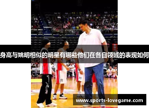 身高与姚明相似的明星有哪些他们在各自领域的表现如何