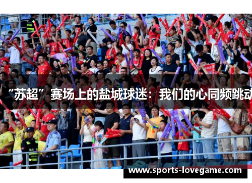 “苏超”赛场上的盐城球迷：我们的心同频跳动